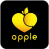 opple